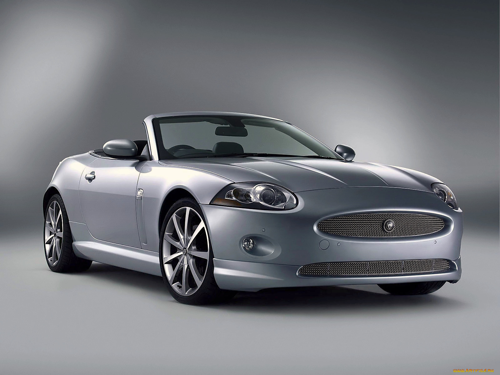 , jaguar
